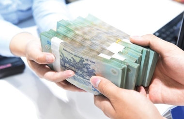Các trường hợp không được vay ngân hàng để thanh toán tiền mua cổ phần, vốn góp