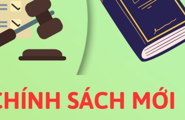 Một số chính sách mới