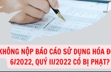 khong-bao-cao-hoa-don-thang-6-va-quy-2-2022-co-bi-xu-phat